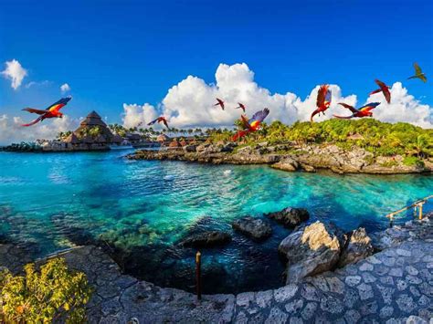 xcaret natural adventure park cozumel|Xcaret Park